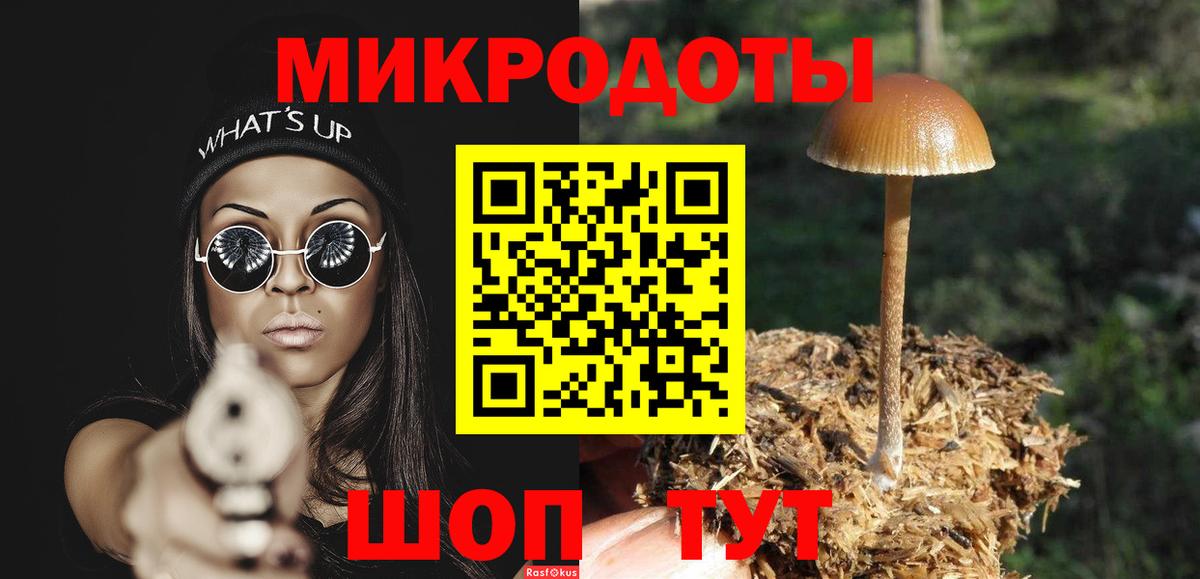 Галлюциногенные грибы мухоморы Москва