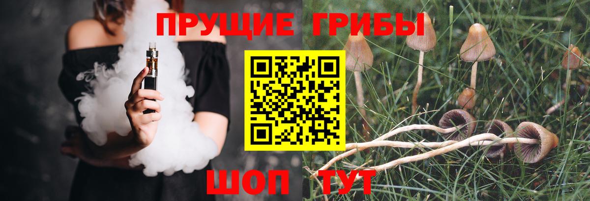 Москва  Псилоцибиновые грибы Psilocybine cubensis  Вход с VPN 
